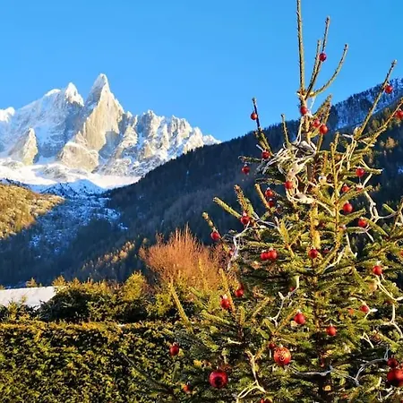 Chalet Mazot Le Petit Drus Chamonix