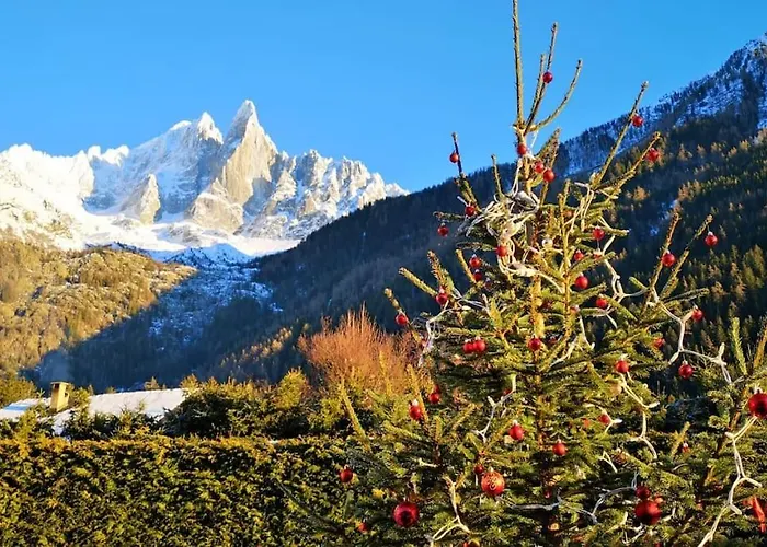 Chalet Mazot Le Petit Drus Chamonix
